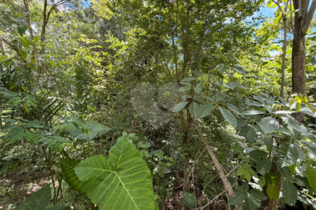 Chácara à venda com 3 quartos, sendo 1 suíte, no Centro, Araçoiaba da Serra, SP