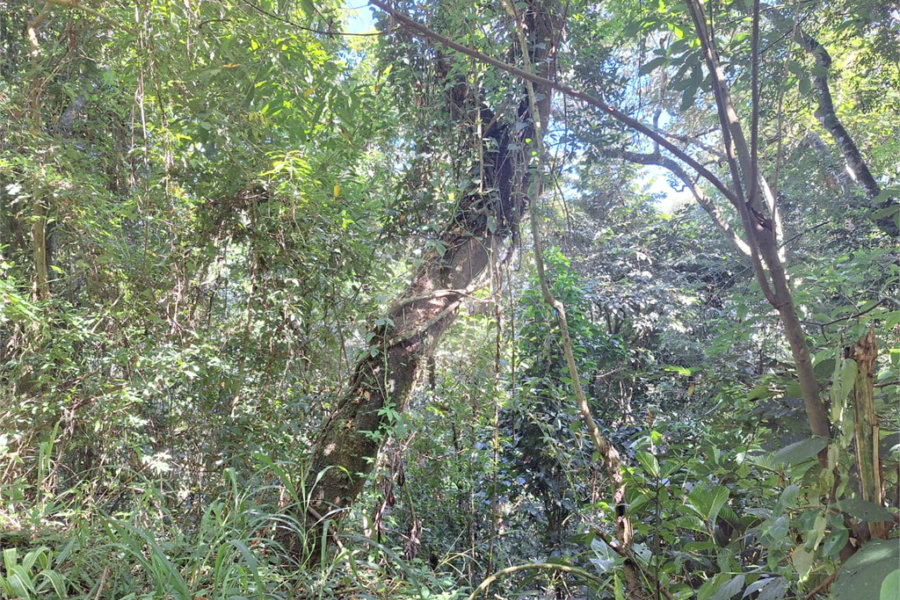 Terreno à venda no condomínio Alpes da Cantareira, Mairiporã - SP