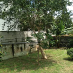 Casa Térrea à venda com 2 quartos em Casa Verde, São Paulo, SP