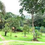Casa à venda com 10 quartos, sendo 3 suítes, no condomínio Chácaras Campo Verde, Campo Limpo Paulista - SP