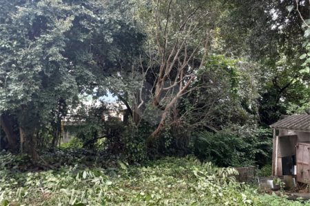 Terreno à venda em Vila Mazzei, São Paulo, SP