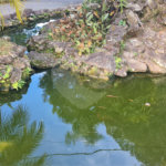 Casa à venda ou para alugar com 3 quartos, sendo 2 suítes, no condomínio Jardim da Montanha I, Mairiporã - SP