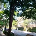 Apartamento à venda com 2 quartos, sendo 1 suíte,  em Vila Suzana, São Paulo, SP