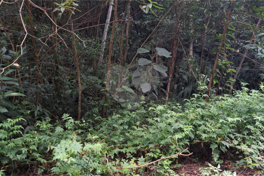 Terreno à venda no condomínio Campos de Mairiporã Gleba 1, Mairiporã - SP