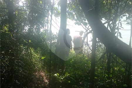 Terreno à venda em Dos Finco, São Bernardo do Campo, SP