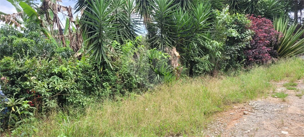 Terreno à venda em Serra da Cantareira, Mairiporã, SP