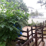 Sobrado à venda com 6 quartos, sendo 5 suítes, em Tremembé, São Paulo, SP