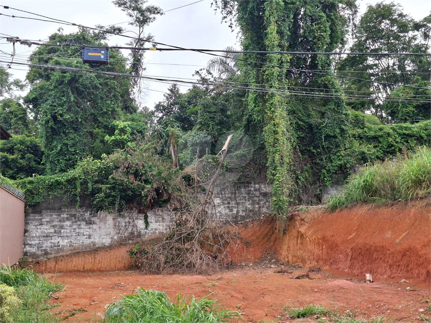 Terreno à venda em Vila Albertina, São Paulo, SP