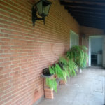 Sítio à venda com 5 suítes no Centro, Araçoiaba da Serra, SP