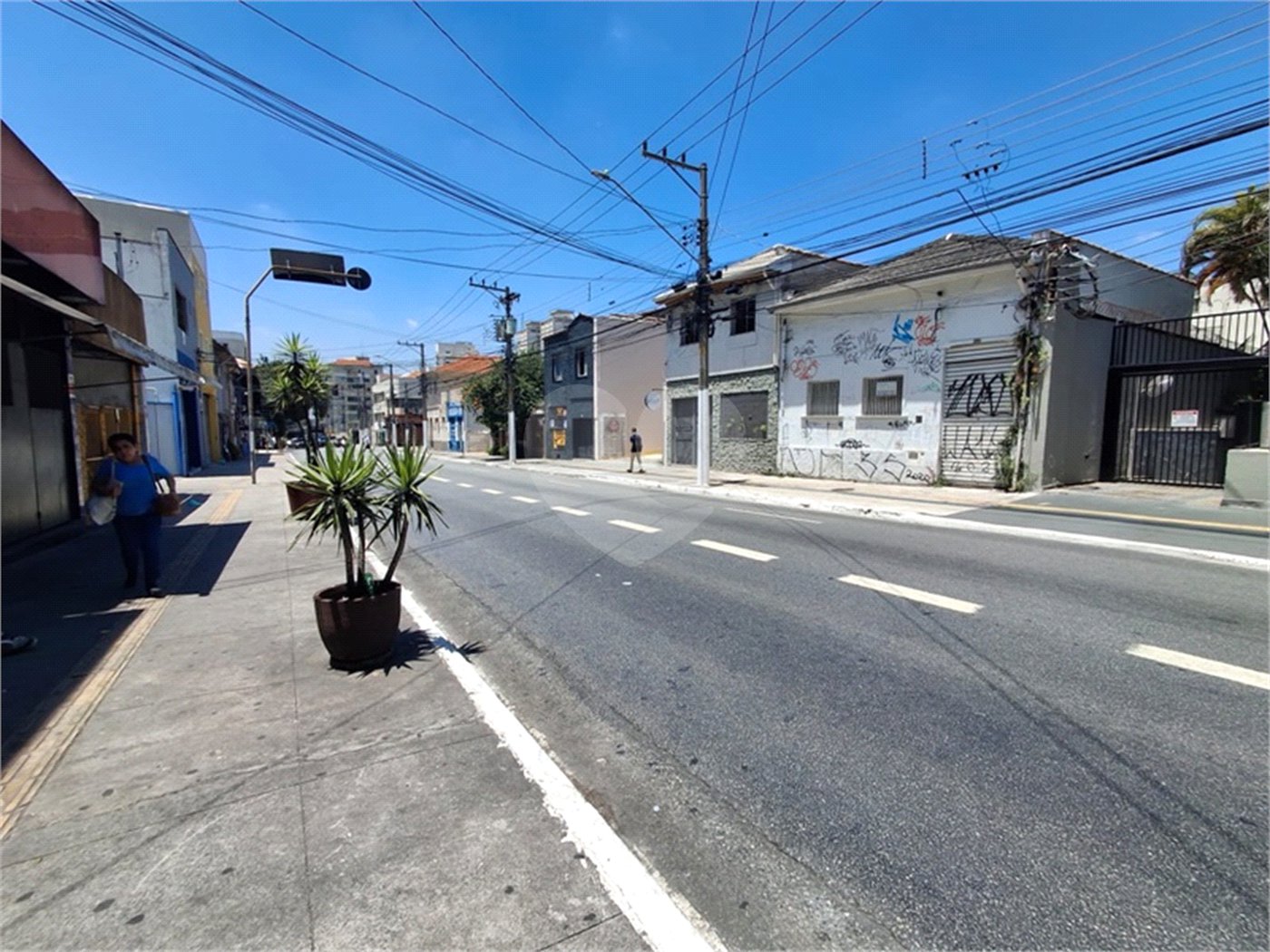 Terreno à venda ou para alugar em Santana, São Paulo, SP