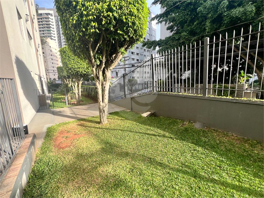 Apartamento para alugar com 3 quartos em Vila Mascote, São Paulo, SP