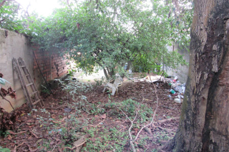 Terreno à venda em Vila Monte Belo, Itaquaquecetuba, SP