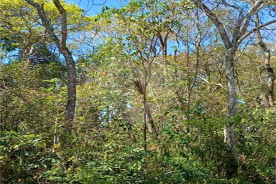 Terreno à venda em Remédios, Mairiporã, SP