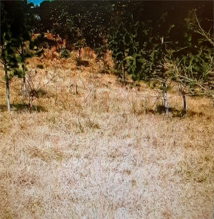 Terreno à venda em Estância Santa Maria do Portão, Atibaia, SP
