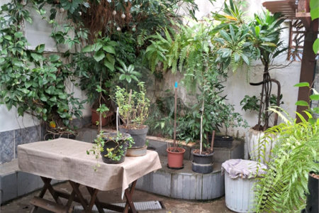 Casa à venda com 4 suítes em Ipiranga, São Paulo, SP
