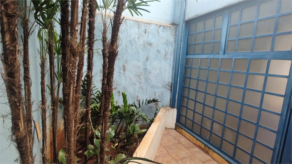 Casa à venda com 3 quartos, sendo 1 suíte, em Vila Monte Alegre, Ribeirão Preto, SP