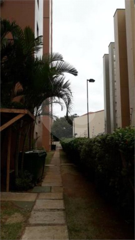 Apartamento à venda com 3 quartos, sendo 1 suíte, em Cambuci, São Paulo, SP