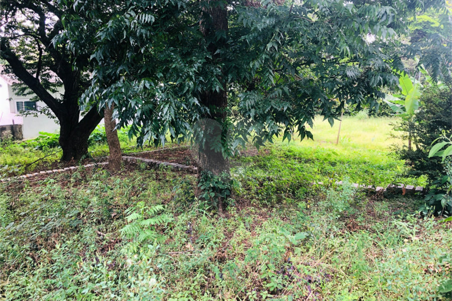 Terreno à venda em Tremembé, São Paulo, SP