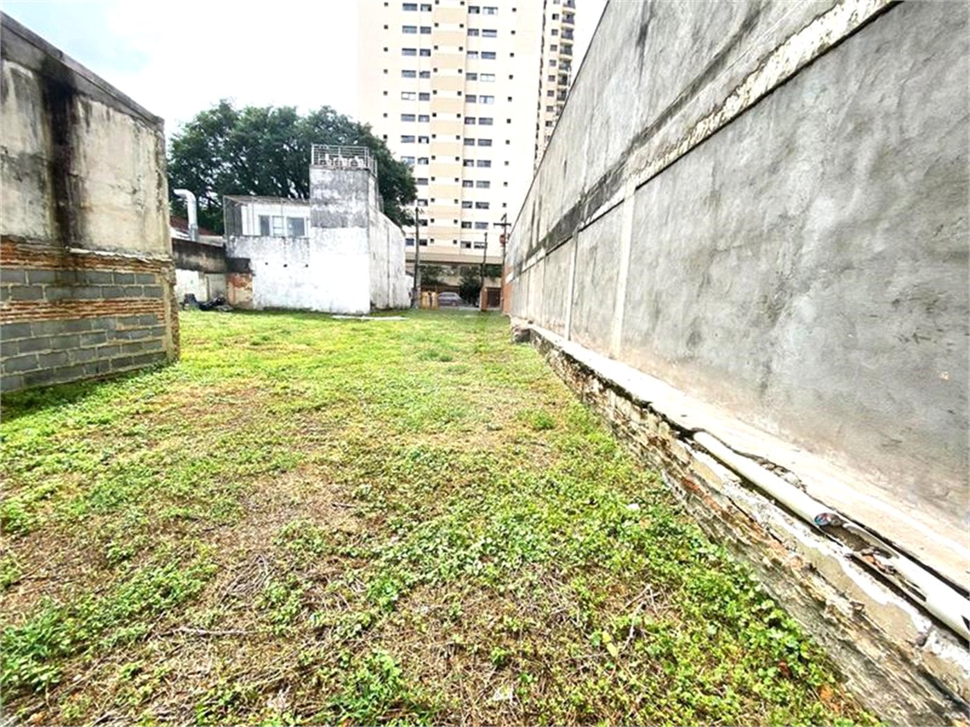 Terreno à venda ou para alugar em Vila Leopoldina, São Paulo, SP
