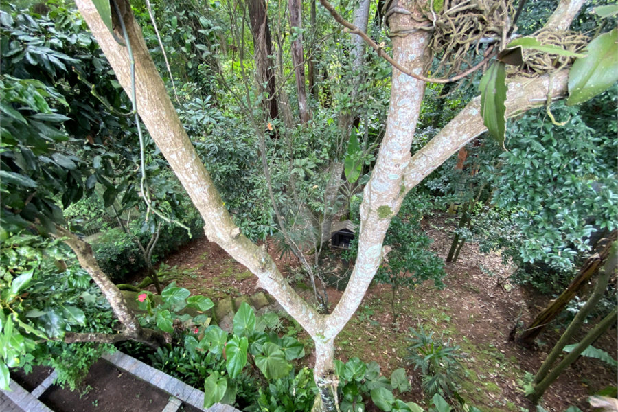 Sobrado à venda com 4 quartos, sendo 1 suíte, em Horto, São Paulo, SP