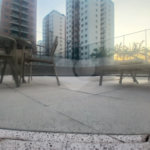 Apartamento à venda ou para alugar com 3 quartos, sendo 1 suíte,  em Vila Leopoldina, São Paulo, SP