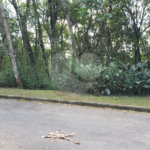 Terreno à venda em Alpes da Cantareira, Mairiporã, SP