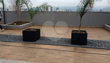 Apartamento à venda com 2 quartos em Vila Gustavo, São Paulo, SP