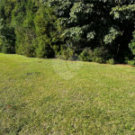 Terreno à venda em Vila Nastri, Itapetininga, SP