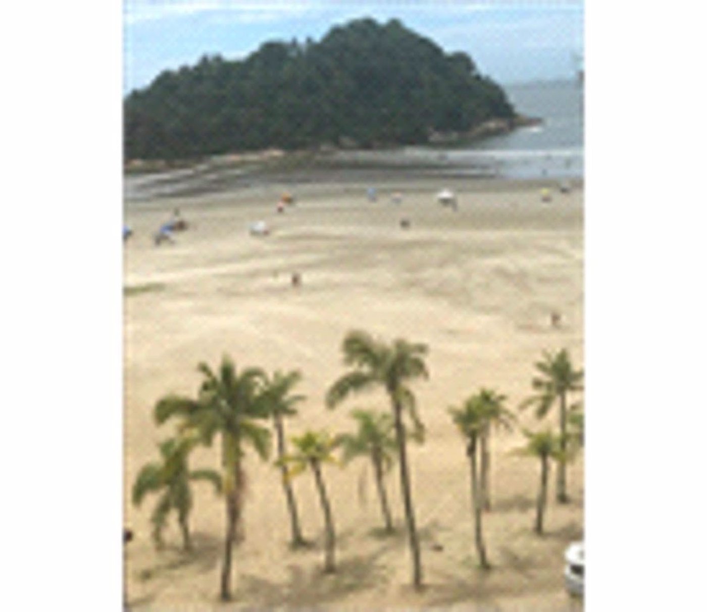 Apartamento Residencial à venda, José Menino, Santos - AP0530.