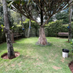 Apartamento à venda com 3 suítes em Vila Suzana, São Paulo, SP