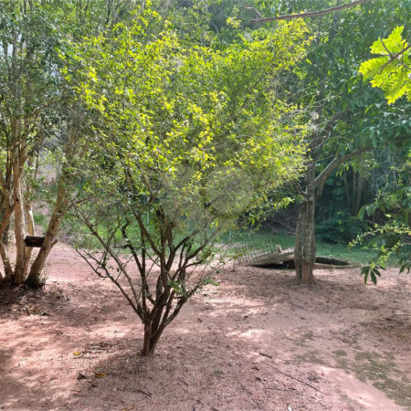Terreno à venda em Jardim Nova América, Louveira, SP