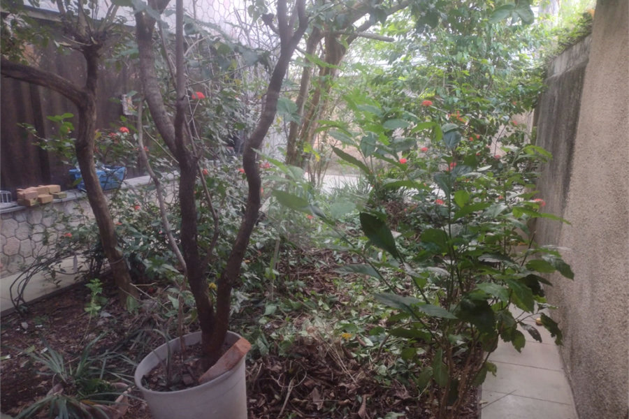 Sobrado à venda com 2 quartos, sendo 1 suíte, em Jardim Iv Centenário, São Paulo, SP