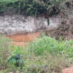 Terreno à venda em Vila Albertina, São Paulo, SP