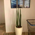 Apartamento com 3 dormitórios, 100 m² - venda por R$ 370.000,00 ou aluguel por R$ 4.441,86 - Loteamento João Batista Julião - Guarujá/SP