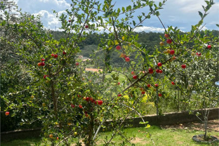 Terreno à venda com 2 quartos no condomínio Reserva do Morro Alto, Jarinu - SP