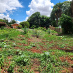 Terreno à venda em Jardim do Carmo, Araraquara, SP