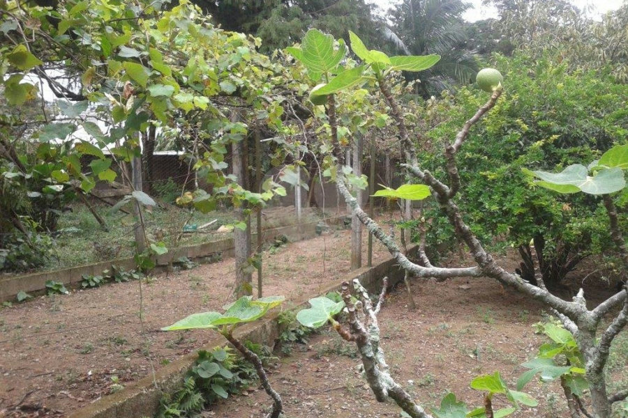 Terreno à venda em Horto Florestal, São Paulo, SP