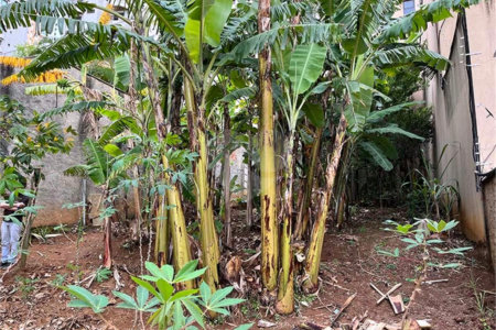 Terreno à venda em Santana, São Paulo, SP