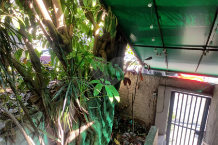 Sobrado à venda com 3 quartos, sendo 1 suíte, em Vila Pompéia, São Paulo, SP
