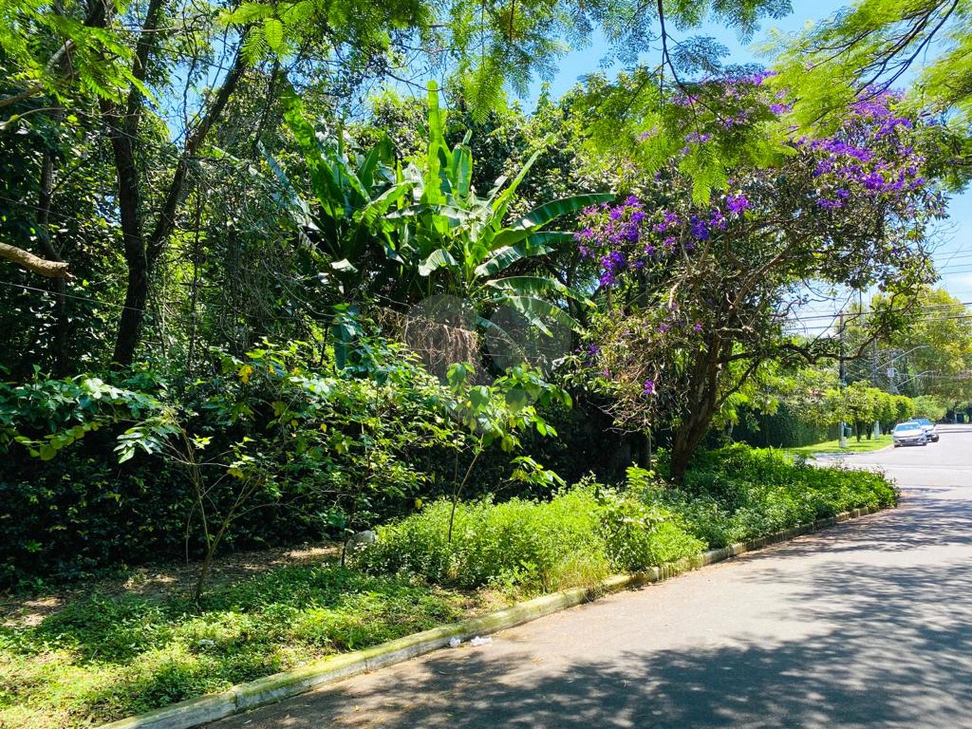 Terreno à venda em Interlagos, São Paulo, SP