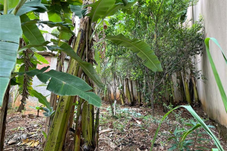 Terreno à venda em Santana, São Paulo, SP