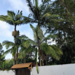 Casa à venda com 3 quartos, sendo 1 suíte, no condomínio Caconde, São Bernardo do Campo - SP