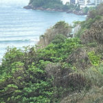 Apartamento Residencial à venda, Barra Funda, Guarujá - AP0311.