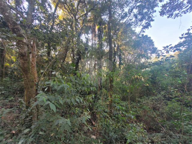 Terreno à venda em Serra da Cantareira, Mairiporã, SP