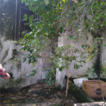Casa Térrea à venda com 3 quartos em Vila Lúcia, São Paulo, SP