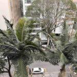 Apartamento à venda com 3 suítes em Higienópolis, São Paulo, SP