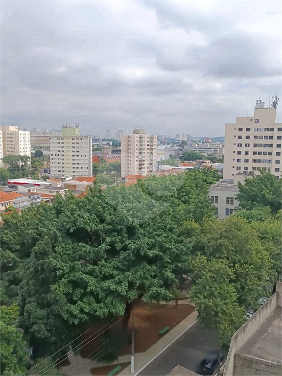 Apartamento à venda com 3 quartos, sendo 1 suíte, em Casa Verde, São Paulo, SP
