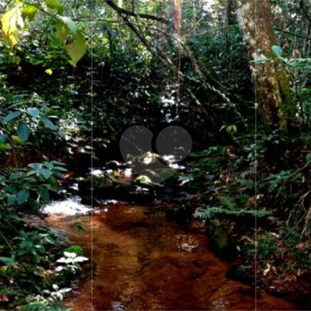 Chácara à venda no Centro, Monte Sião, MG