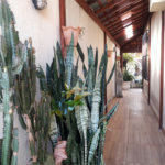 Sobrado à venda com 4 quartos, sendo 1 suíte, em Vila Constança, São Paulo, SP