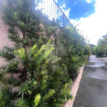 Casa à venda com 4 quartos, sendo 1 suíte,  em Jardim Franca, São Paulo, SP